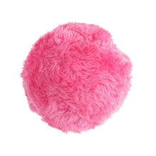 Load image into Gallery viewer, Pet Play Ball