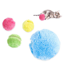 Load image into Gallery viewer, Pet Play Ball